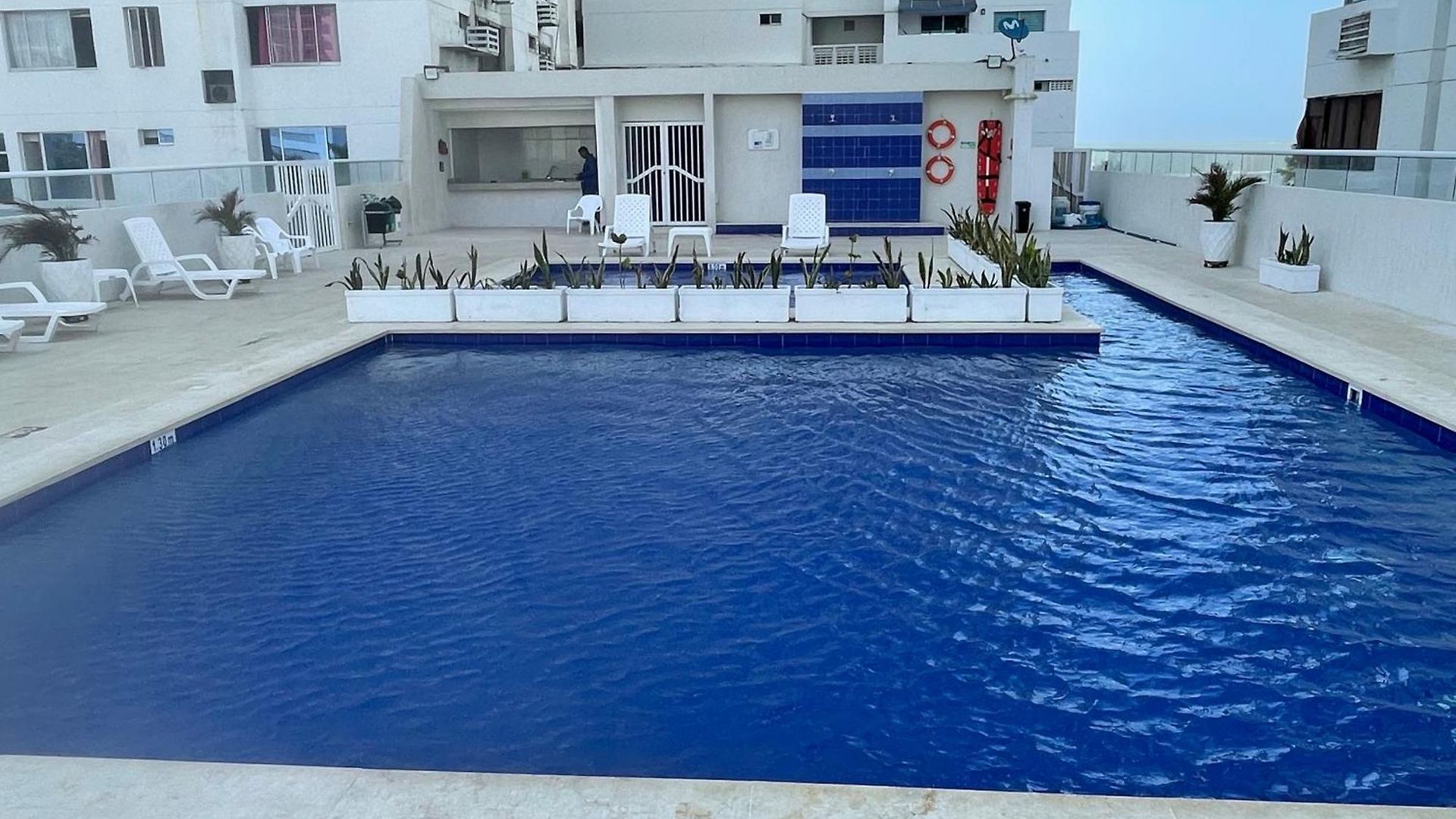 White Bocagrande - Delfines * Cartagena